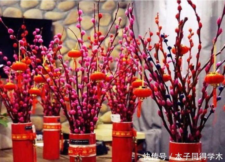 家养|家养3种花,旺家又旺财,福气满满,红红火火送吉祥!