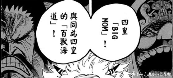 浮出|海贼王:大妈和凯多的关系已经浮出水面,尾田之前埋的坑原来是为了这个