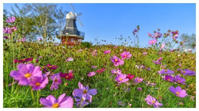 创造营2021|创造营2021刷屏了!恒大海花岛成粉丝花式示爱天堂