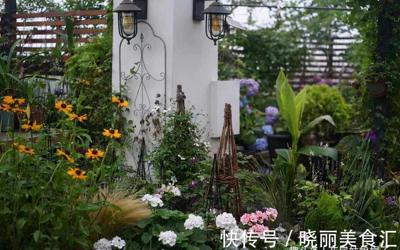 养花新手时常犯的5个养花错误，看似很美丽，实际很费钱