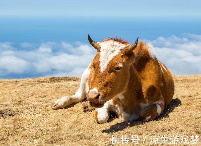 新生|犊牛腹泻的临床症状及防治，你了解多少，来这看看吧
