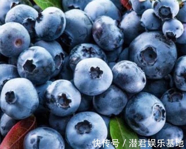 蓝莓|怀孕时,这4种水果孕妈要舍得吃,对胎儿的健康发育有好处