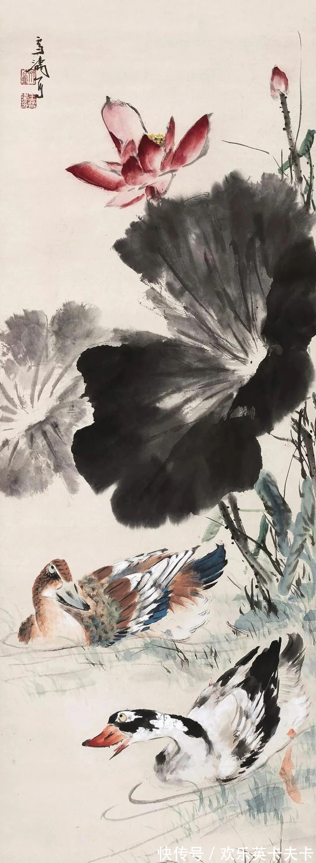 花鸟画!清俊靓丽|最具辨析度的中国画,王雪涛花鸟画