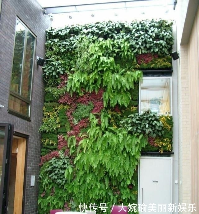 院子|带地下室的别墅有救了，只需要往下挖一层，实用又漂亮