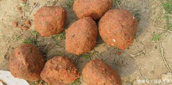 效果|菜籽饼打窝没鱼口加上这些,钓鲫、钓鲤都可以