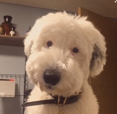 |搞笑GIF：防火防盗防闺蜜 这样的闺蜜不要也罢