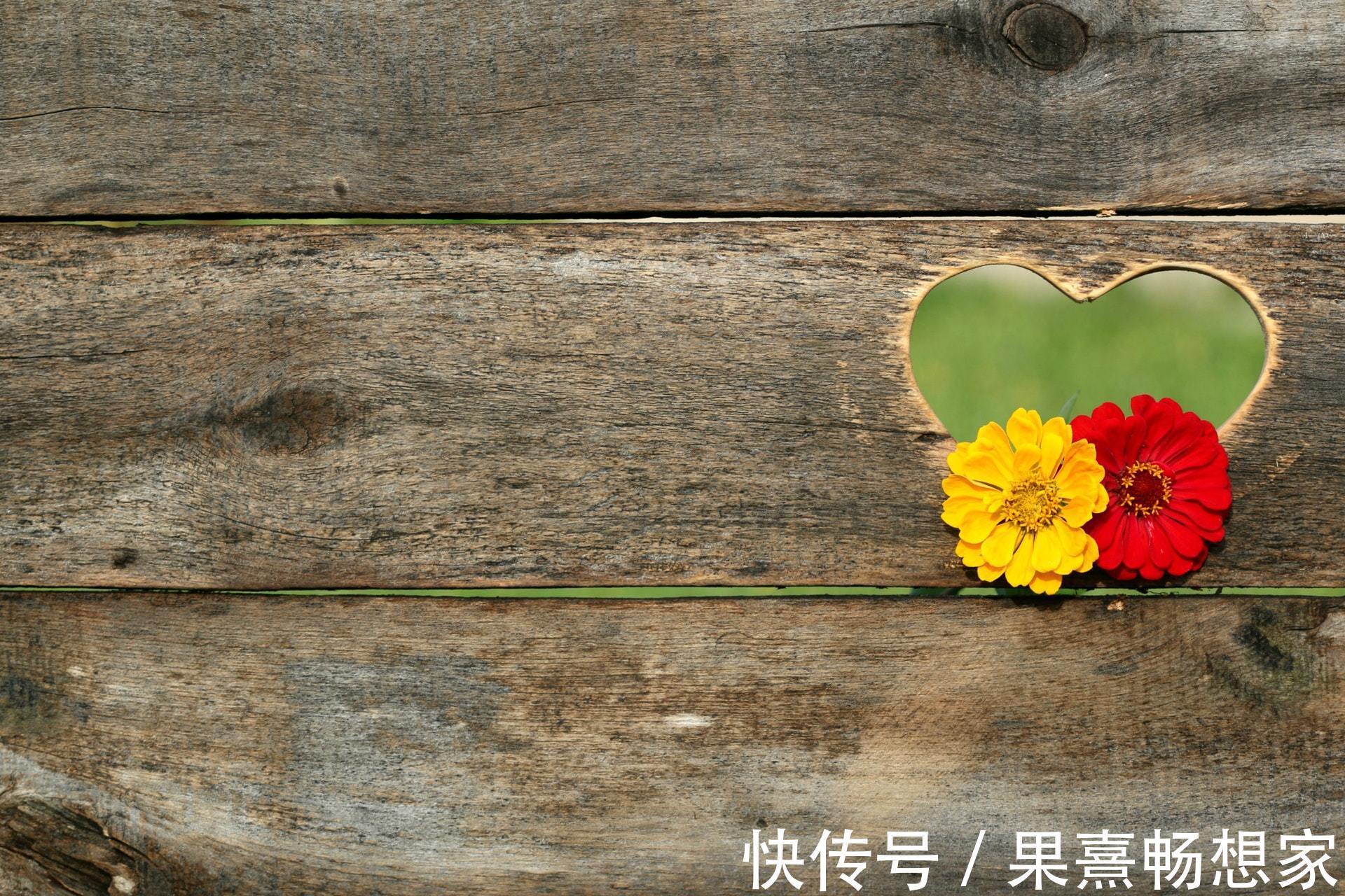 母亲|“我们只有五万块了,你还想做什么”“给我买套房”