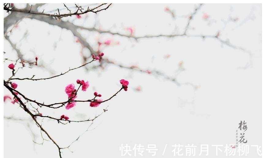 幽斋@蝶恋花·贺岁(竹榭)