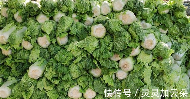 天冷了，这食材更加鲜甜多汁，我一次买20斤，囤起来怎么吃都不腻！