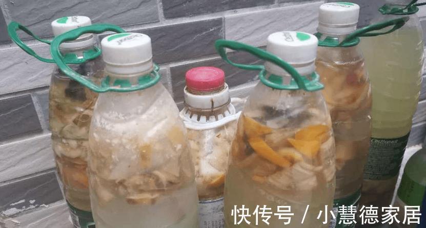 浇灌|建议新人制作果皮水养花，肥效温和持久，原材料好筹集