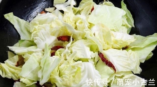 番茄|它叫“不死菜”,富含叶酸,维生素是番茄的3倍,开春吃它正合适