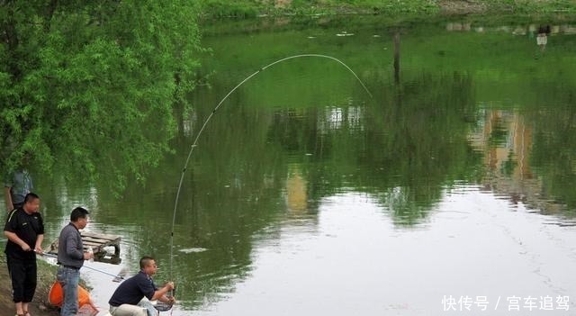 除了鱼获之外,钓到这些奇葩东西,才算真正的钓鱼人