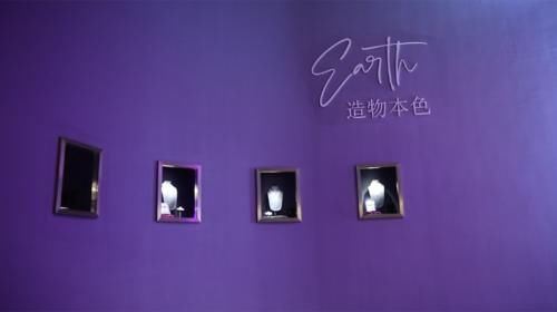 Tiffany 家最大的钻石，好闪！