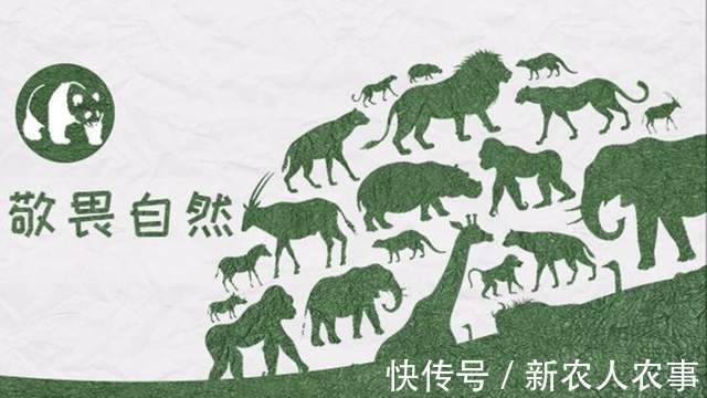 没有别的爱|广东一男子钓鱼瘾犯了,寒冷的冬日里夜钓,一不小心就实现了爆护