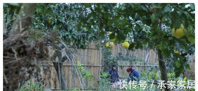 农村|李子柒的厨房脏吗?有人提出质疑,网友:你就酸吧