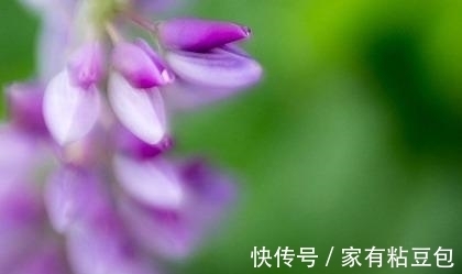 奋斗|七天后，桃花闪现，醉心旧爱，情投意合，互相惦记，为爱奋斗