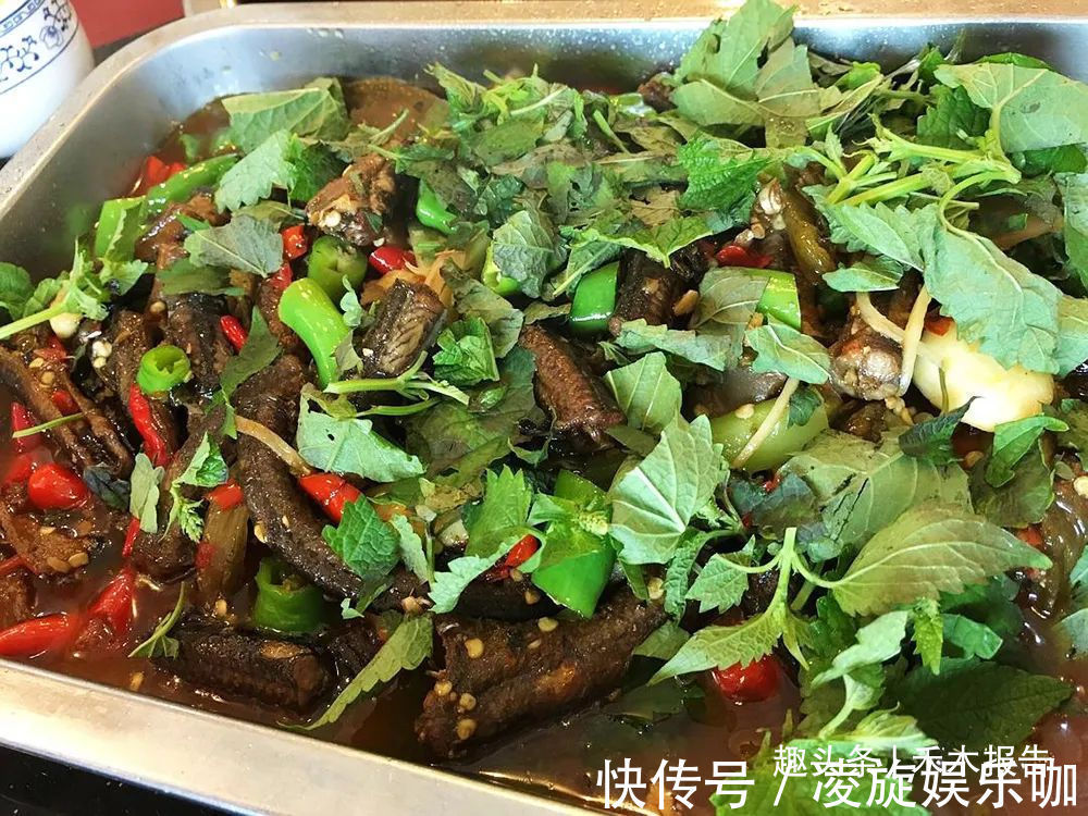 芳香味|农村这种野草比香水还香,含一片叶子能除口臭,还是极品高钙菜