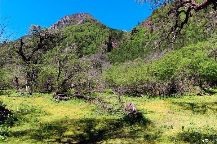 枯树滩|东方圣山，户外天堂——四姑娘山自驾徒步之旅