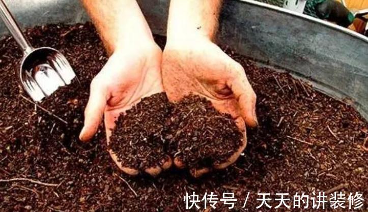 一款容易被人无视的养花神器,草叶,有4种用法能取代肥料使