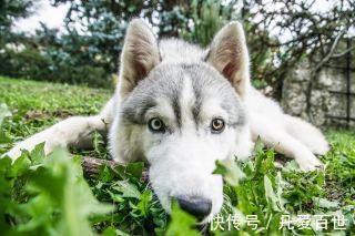 |搞笑动图:妹子:可以的话让我来替换猫咪吧!