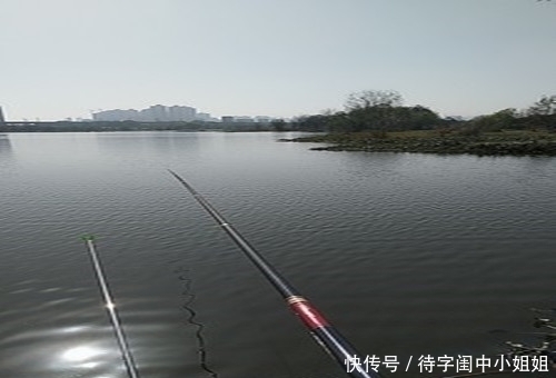 野钓|初春为什么自然水域的鲫鱼会浮头难钓老钓友教你三招上鱼技巧