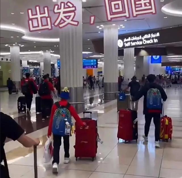 中国跳水队|边走路边玩手机!全红婵推大箱子萌翻网友,红姐抬头一脸惊讶表情