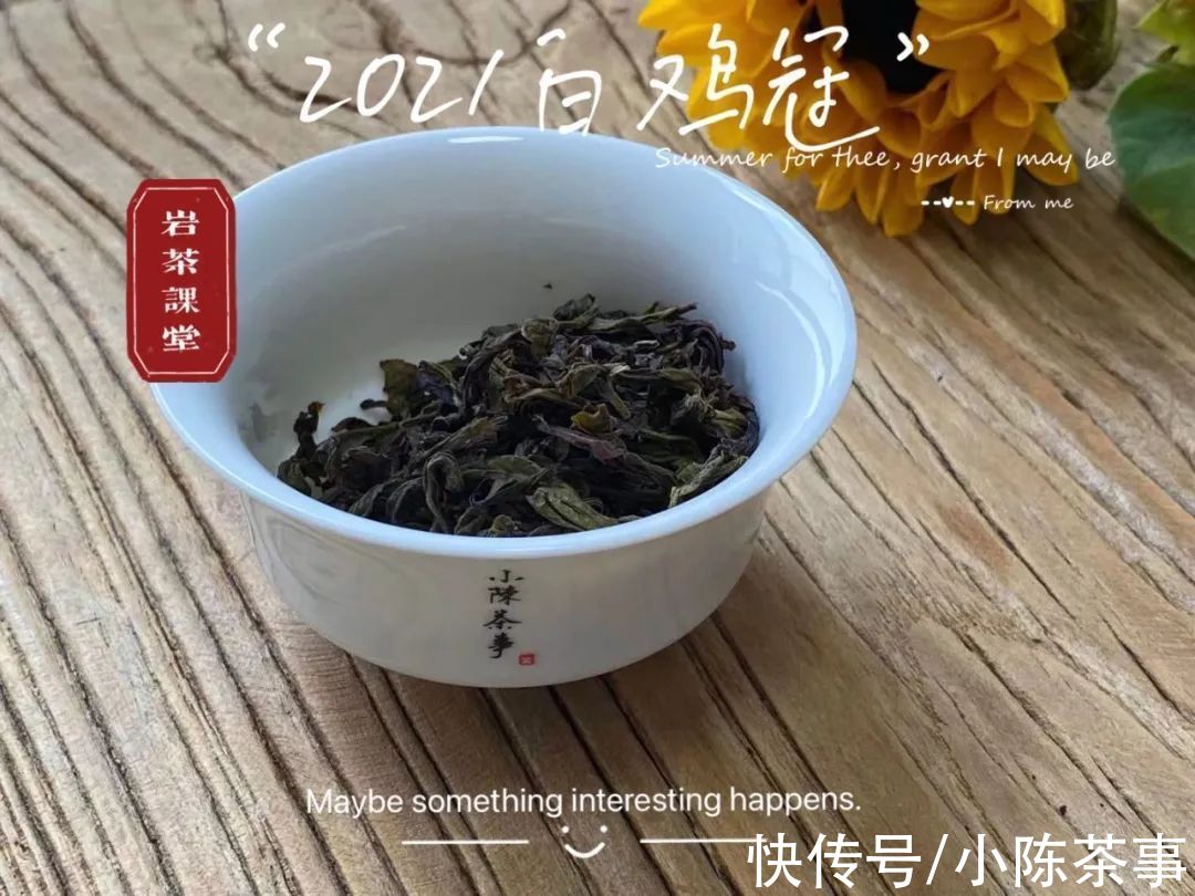 适饮期!爱喝岩茶的你,了解武夷岩茶的褪火期、适饮期、返青期、转化期?