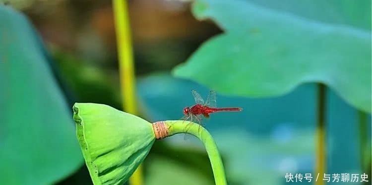 老祖宗|老祖宗的经验:福报到家,通常有这三个“喜兆”