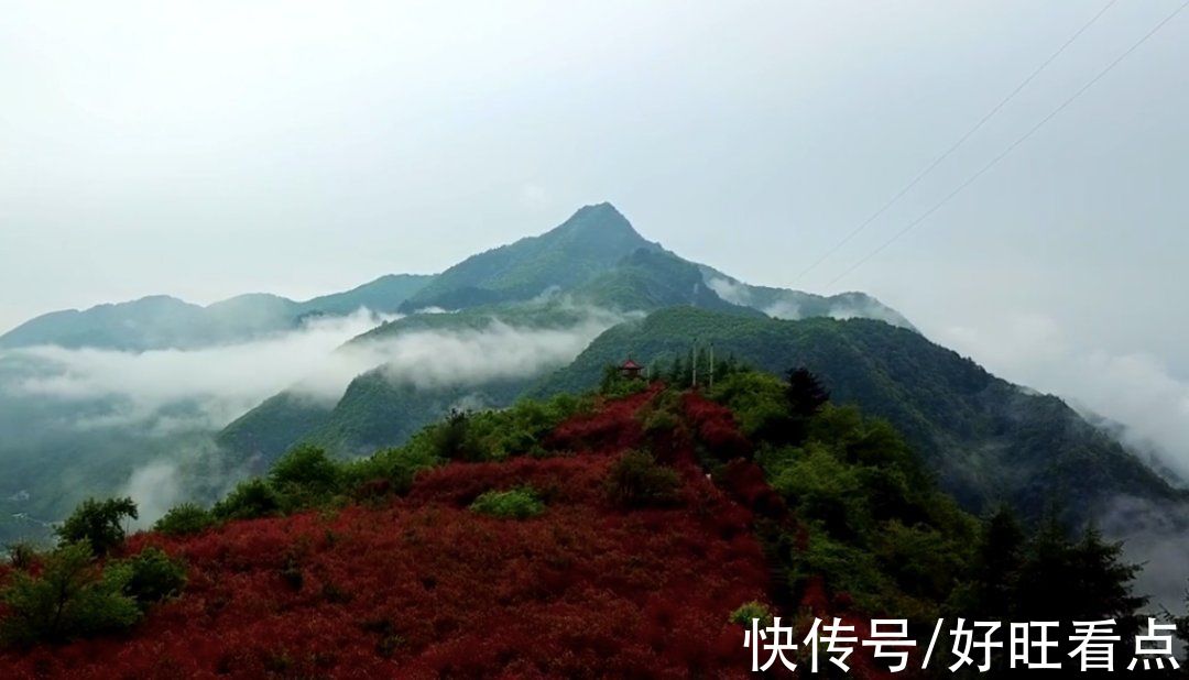 叶子|魅力陕西行·雨后，寻觅镇坪最诗意的秋天