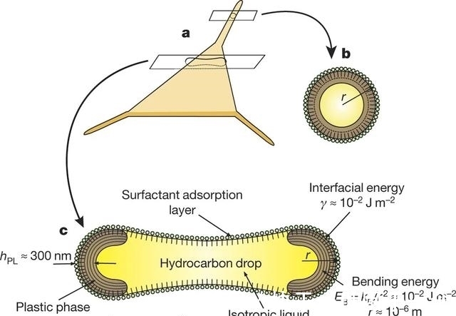 烷烃|Nature子刊：油滴“游泳”，姿势少见