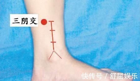 桂圆肉|失眠难入睡,半夜容易惊醒?常做4事,改善失眠,或能睡个好觉