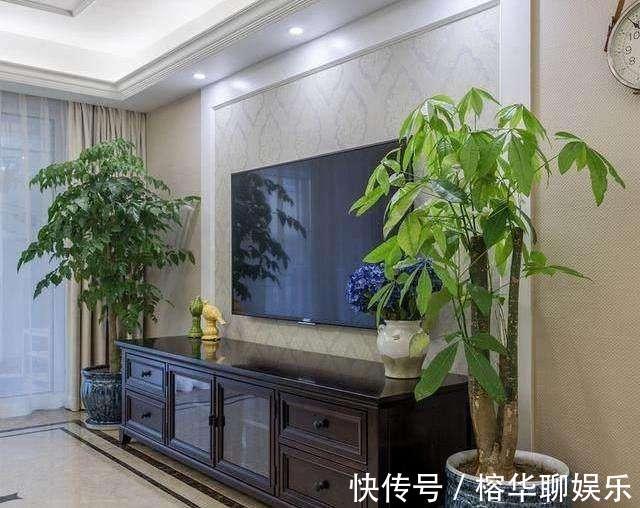 人气|电视柜旁边,养什么花,3种选一个,格调高,寓意好,人气旺