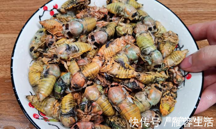 吃肉|三伏天,宁可不吃肉,遇到此美味别手软,高营养高蛋白,别不懂吃