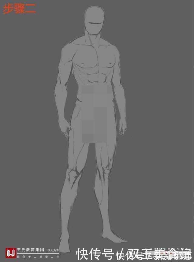 示意图|男人体系列丨肌肉糙汉丨人体怎么画丨PS板绘