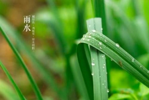 雨水节气少吃肉，多吃这“5鲜”，健脾开胃，顺应时节身体好