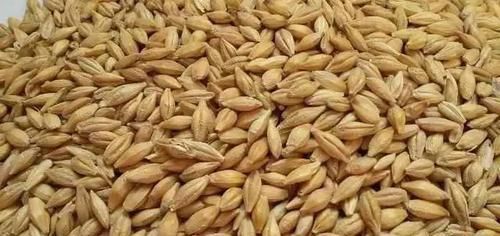  男人若想前列腺好，天天吃点“它”，不需要多久，炎症自然消