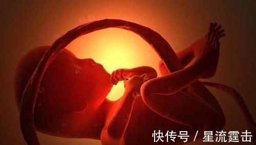 胎儿|胎儿每天在妈妈肚子里忙什么?除了吃和睡,他们有好多事情要忙!