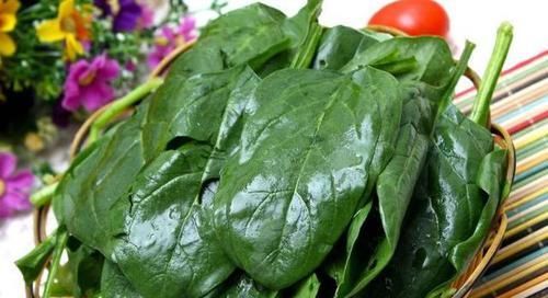 3种蔬菜可常吃，刮油清脂，告别大肚腩，女性不想水桶腰不妨试试