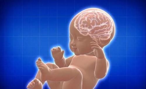 孩子|孩子真的有“宫内记忆”吗？妈妈：我4岁女儿的话，让我瑟瑟发抖