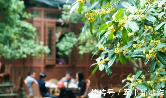 白茶|处暑来了,喝什么茶更养生?秋天喝茶10大注意事项,你掌握几个?