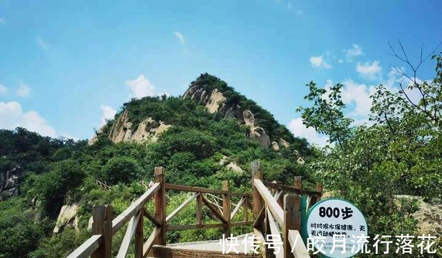 鸽子洞|北京大岭沟猕猴桃谷风景区，幽静空谷听鸟鸣，到山顶看草木葱茏！