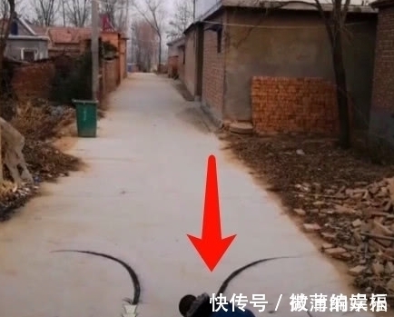 六小龄童|孩子放学没回家,家长急的到处找,走到路口,当场呆在原地