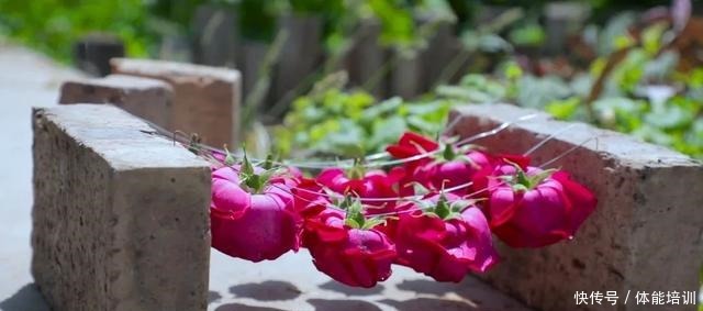 做一桌玫瑰,送给我最爱的你们~