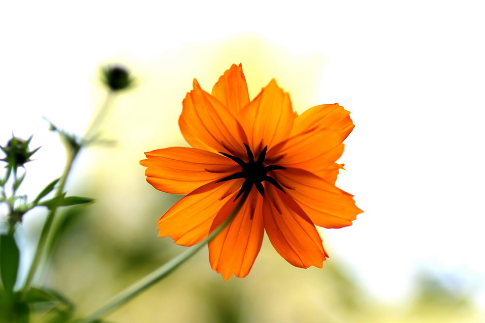 晴风|人到中年,最好的养生是善忘