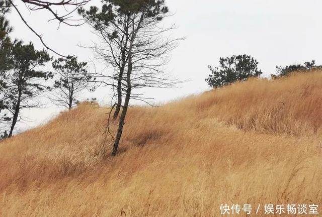 故乡山，家乡情