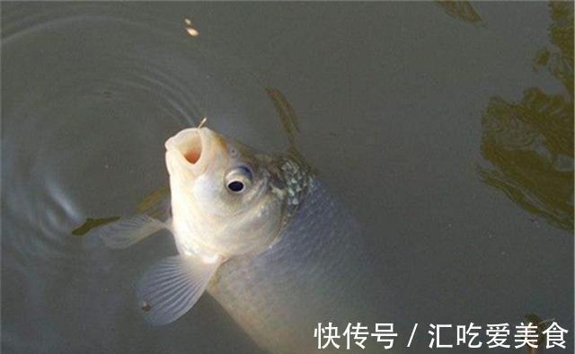 数九寒天,水温更低鱼口更轻,做好这3条,小漂相也能中大鲫