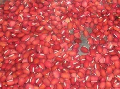 原来红豆加“它”一起煮,常吃,淡化色斑,瘦身效果好