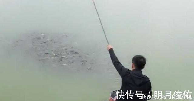 钓鱼时,肉眼能看到鱼群,但它们为什么就不上钩?真正原因竟是它