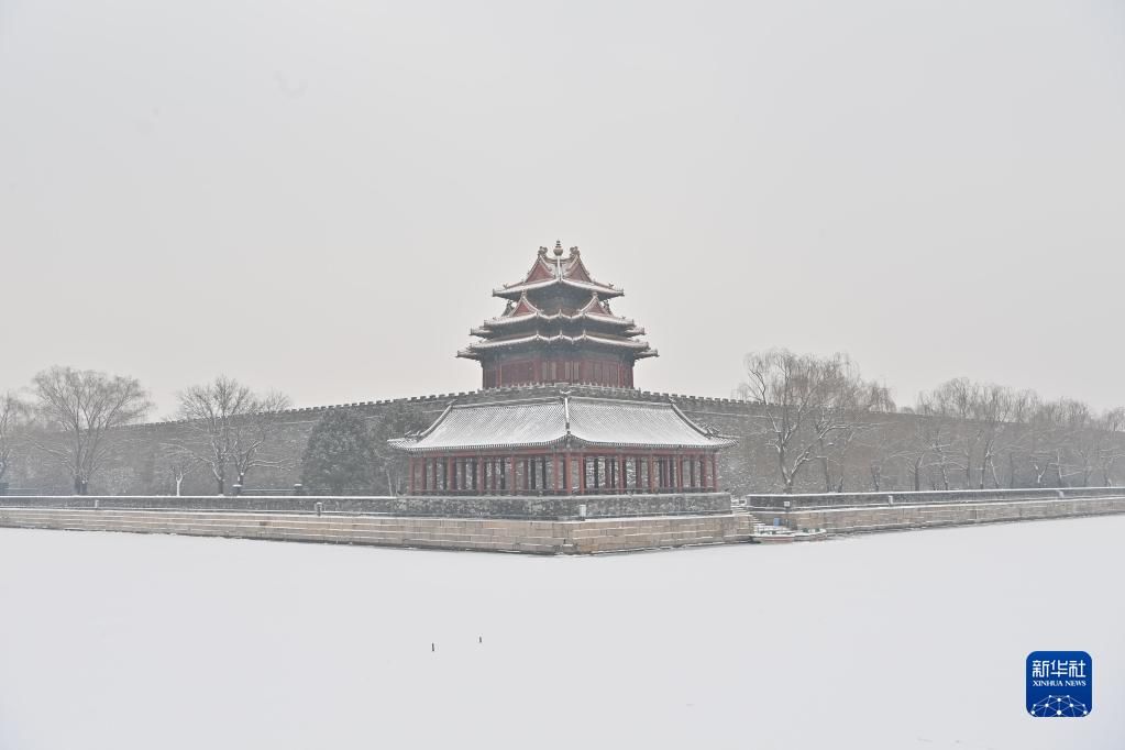 北京故宫|雪落京城美景如画