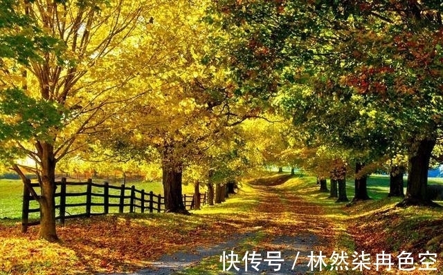 庄稼|“早立秋凉飕飕、晚立秋热死牛”，明天立秋，今夏还要热多久？